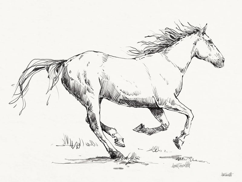 Gallop Sketch by Anne Tavoletti