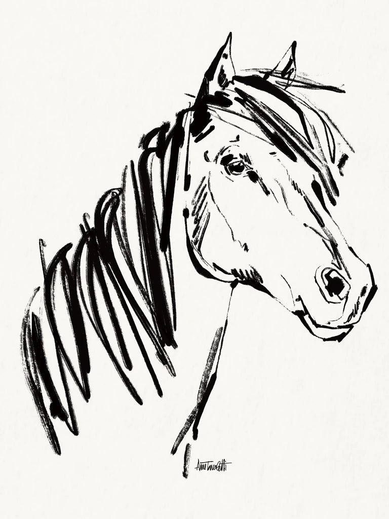 Horse Portrait Sketch by Anne Tavoletti
