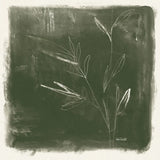 Leaf Lines II by Anne Tavoletti. SKU 97373a. Archival Giclee Fine art print for wall decor.