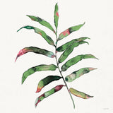 Palm Springs III by Anne Tavoletti. SKU 95659a. Archival Giclee Fine art print for wall decor.