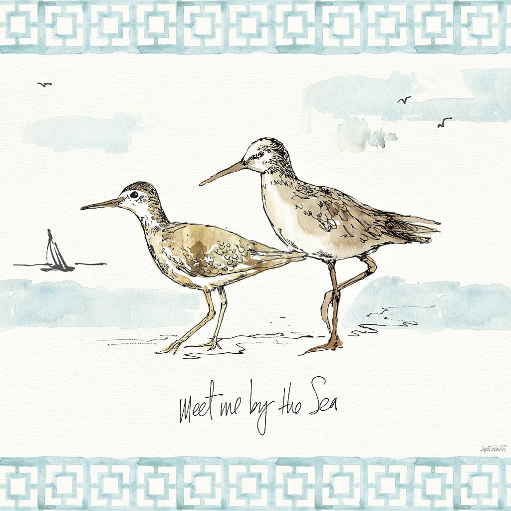 Sandpiper Sea IV by Anne Tavoletti. SKU 21884a. Archival Giclee Fine art print for wall decor.