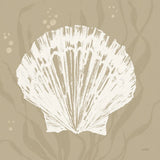 Seaside Style XV Shell by Anne Tavoletti. SKU 81065a. Archival Giclee Fine art print for wall decor.