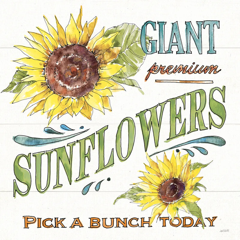 Sunflower Fields IV by Anne Tavoletti. SKU 54384a. Archival Giclee Fine art print for wall decor.