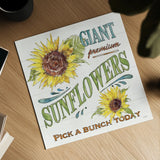 Sunflower Fields IV by Anne Tavoletti. Shown as a detailed flat fine art print, highlighting archival giclee quality. Available as an archival giclee rolled canvas, fine art paper, or poster print. SKU 54384a.