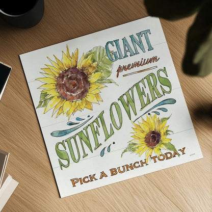 Sunflower Fields IV by Anne Tavoletti. Shown as a detailed flat fine art print, highlighting archival giclee quality. Available as an archival giclee rolled canvas, fine art paper, or poster print. SKU 54384a.