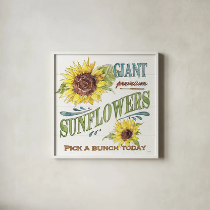 Sunflower Fields IV by Anne Tavoletti. Shown in a crisp white glass frame for a clean and minimalist style. Available as an archival giclee rolled canvas, fine art paper, or poster print. SKU 54384a.