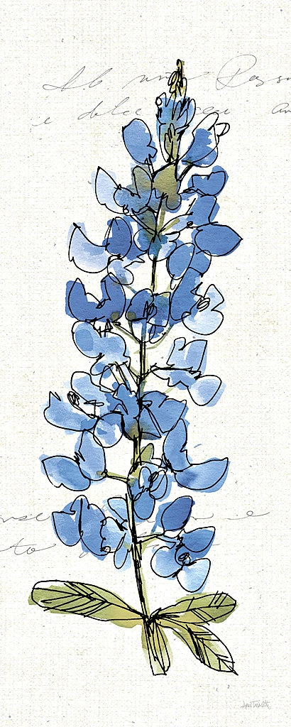 Texas Bluebonnet III by Anne Tavoletti