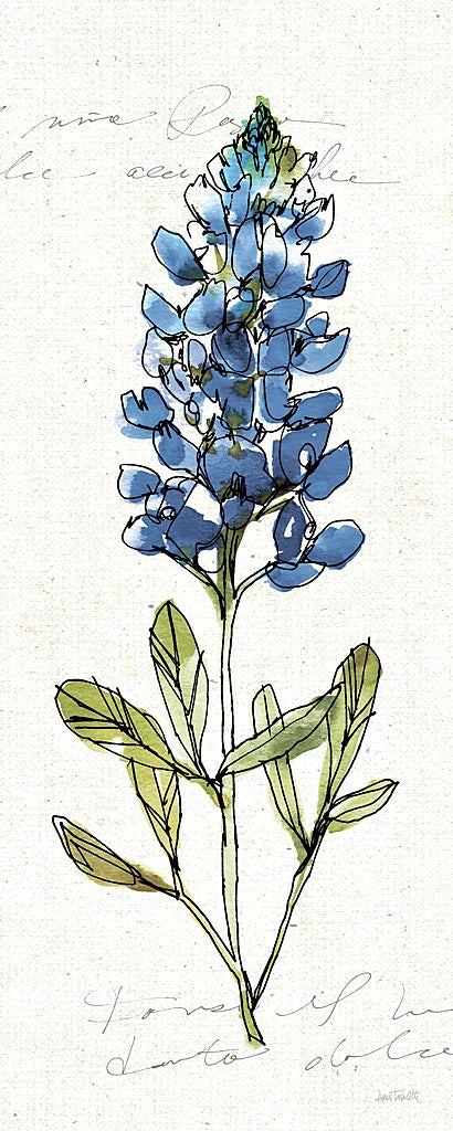 Texas Bluebonnet IV by Anne Tavoletti
