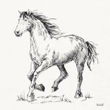 Trot Sketch by Anne Tavoletti. SKU 97882a. Archival Giclee Fine art print for wall decor.