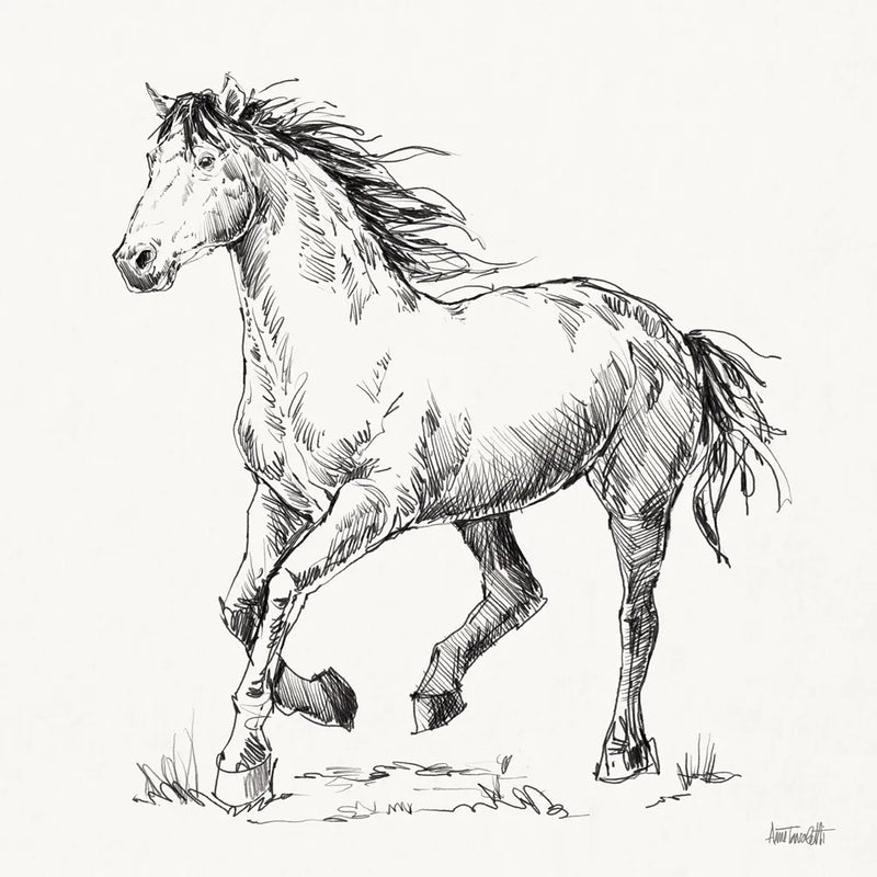 Trot Sketch by Anne Tavoletti. SKU 97882a. Archival Giclee Fine art print for wall decor.