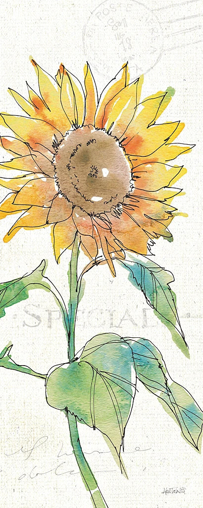 Tuscan Elegance V by Anne Tavoletti