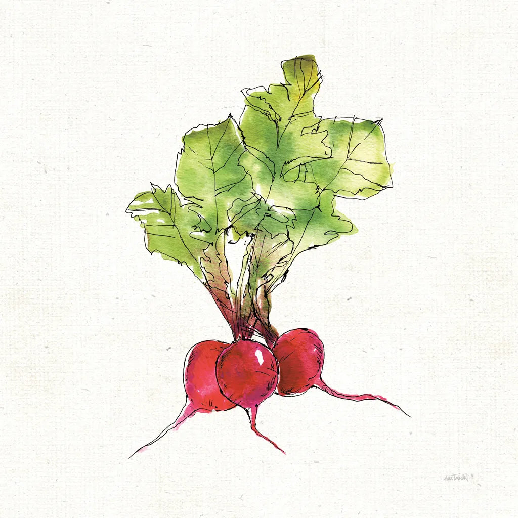 Veggie Market II Radish by Anne Tavoletti. SKU 53855a. Archival Giclee Fine art print for wall decor.