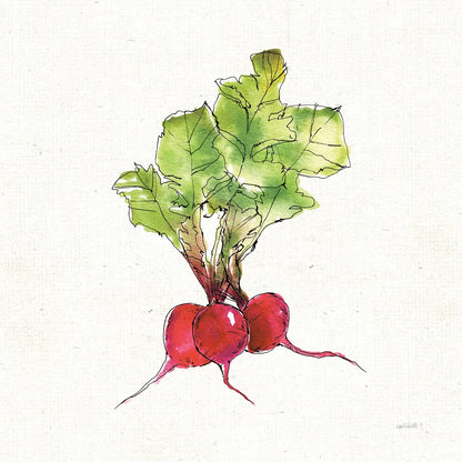 Veggie Market II Radish by Anne Tavoletti. SKU 53855a. Archival Giclee Fine art print for wall decor.