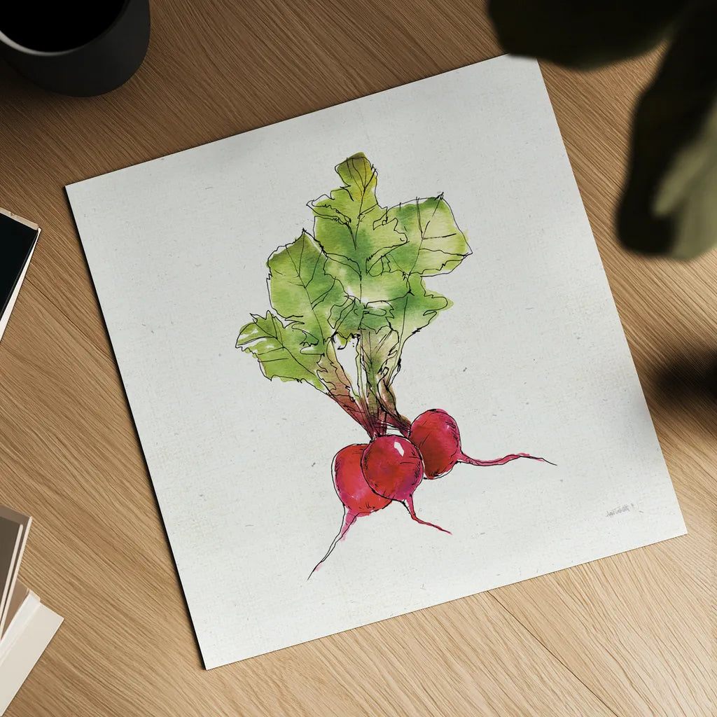 Veggie Market II Radish by Anne Tavoletti. Shown as a detailed flat fine art print, highlighting archival giclee quality. Available as an archival giclee rolled canvas, fine art paper, or poster print. SKU 53855a.
