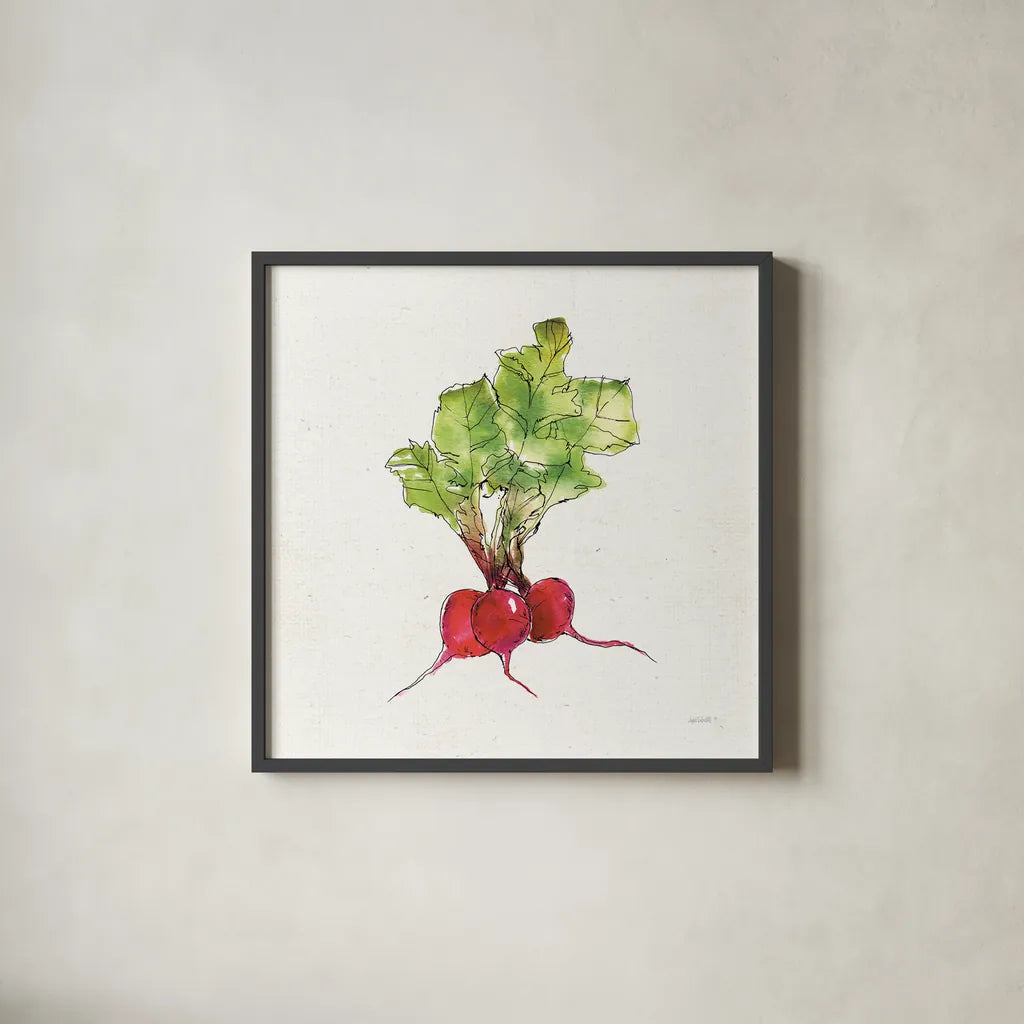 Veggie Market II Radish by Anne Tavoletti. Shown in a sleek black glass frame for a contemporary gallery look. Available as an archival giclee rolled canvas, fine art paper, or poster print. SKU 53855a.