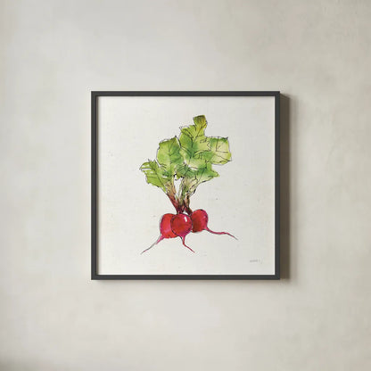 Veggie Market II Radish by Anne Tavoletti. Shown in a sleek black glass frame for a contemporary gallery look. Available as an archival giclee rolled canvas, fine art paper, or poster print. SKU 53855a.