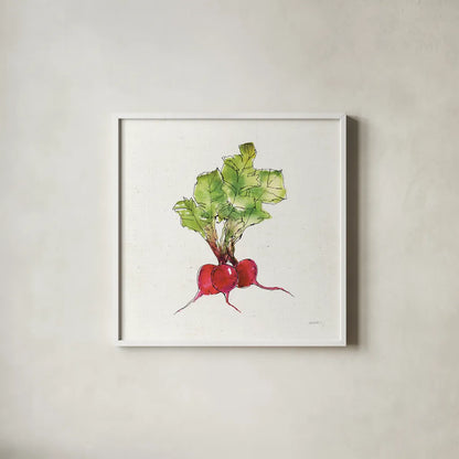 Veggie Market II Radish by Anne Tavoletti. Shown in a crisp white glass frame for a clean and minimalist style. Available as an archival giclee rolled canvas, fine art paper, or poster print. SKU 53855a.