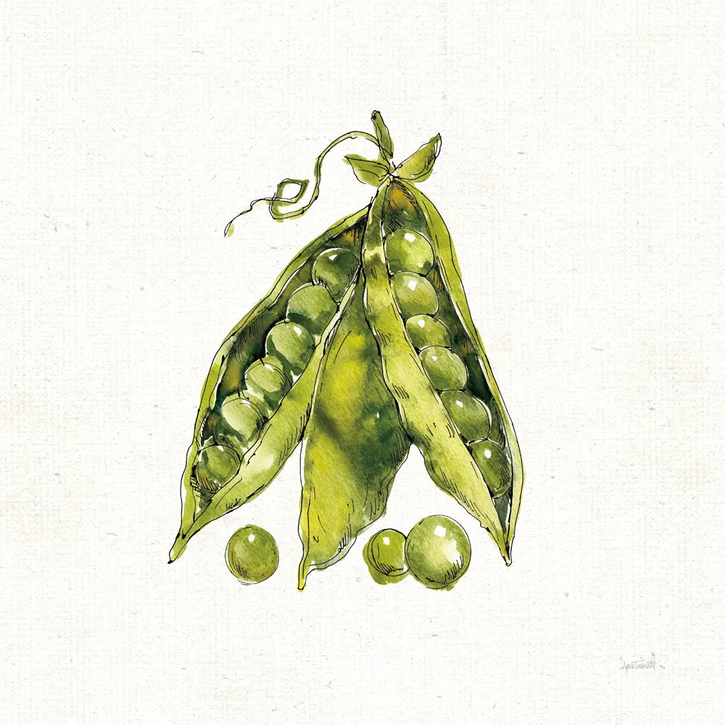 Veggie Market IV Peas by Anne Tavoletti. SKU 53857a. Archival Giclee Fine art print for wall decor.