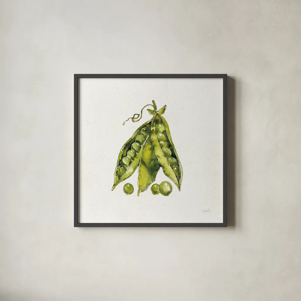 Veggie Market IV Peas by Anne Tavoletti. Shown in a sleek black glass frame for a contemporary gallery look. Available as an archival giclee rolled canvas, fine art paper, or poster print. SKU 53857a.