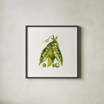 Veggie Market IV Peas by Anne Tavoletti. Shown in a sleek black glass frame for a contemporary gallery look. Available as an archival giclee rolled canvas, fine art paper, or poster print. SKU 53857a.