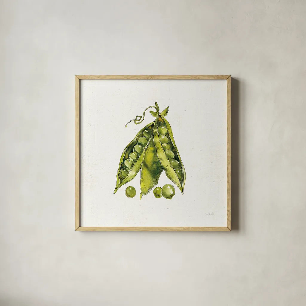 Veggie Market IV Peas by Anne Tavoletti. Shown in a natural wood glass frame for a timeless modern aesthetic. Available as an archival giclee rolled canvas, fine art paper, or poster print. SKU 53857a.