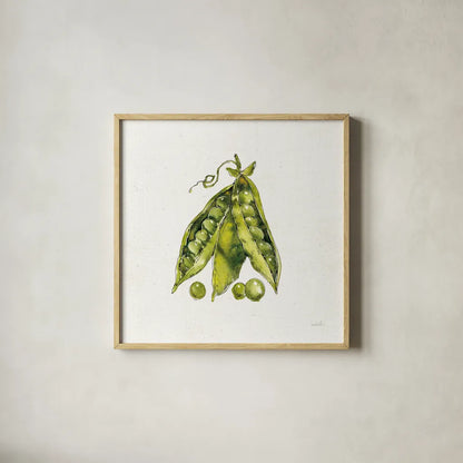 Veggie Market IV Peas by Anne Tavoletti. Shown in a natural wood glass frame for a timeless modern aesthetic. Available as an archival giclee rolled canvas, fine art paper, or poster print. SKU 53857a.