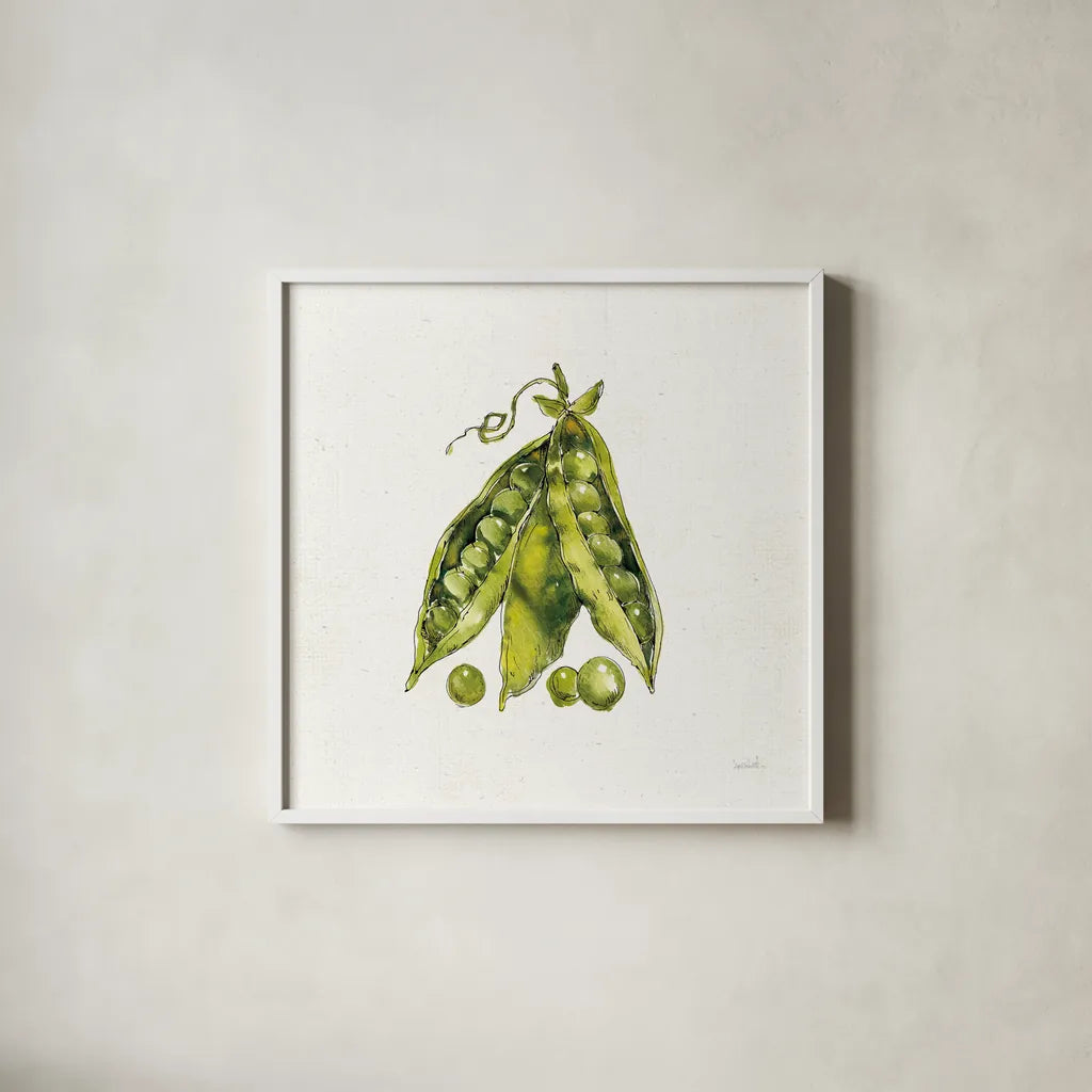 Veggie Market IV Peas by Anne Tavoletti. Shown in a crisp white glass frame for a clean and minimalist style. Available as an archival giclee rolled canvas, fine art paper, or poster print. SKU 53857a.