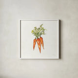 Veggie Market V Carrots by Anne Tavoletti. Shown in a crisp white glass frame for a clean and minimalist style. Available as an archival giclee rolled canvas, fine art paper, or poster print. SKU 53858a.