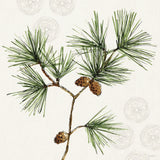 Winter Adornment II by Anne Tavoletti. SKU 88995a. Archival Giclee Fine art print for wall decor.