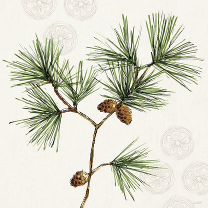 Winter Adornment II by Anne Tavoletti. SKU 88995a. Archival Giclee Fine art print for wall decor.