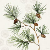 Winter Adornment III by Anne Tavoletti. SKU 88996a. Archival Giclee Fine art print for wall decor.