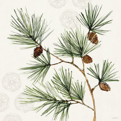 Winter Adornment III by Anne Tavoletti. SKU 88996a. Archival Giclee Fine art print for wall decor.