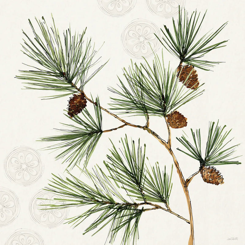 Winter Adornment III by Anne Tavoletti. SKU 88996a. Archival Giclee Fine art print for wall decor.