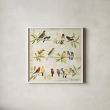 Adoration of the Magpie Music by Avery Tillmon. Shown in a crisp white glass frame for a clean and minimalist style. Available as an archival giclee rolled canvas, fine art paper, or poster print. SKU 13267a.