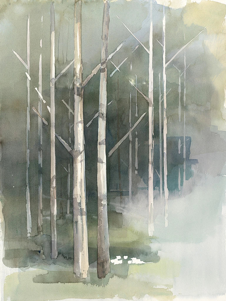 Birch Grove II by Avery Tillmon