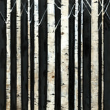 Birch Tree Square III by Avery Tillmon. SKU 49746a. Archival Giclee Fine art print for wall decor.
