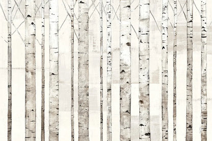 Birch Trees on White by Avery Tillmon. SKU 13012i. Archival Giclee Fine art print for wall decor.