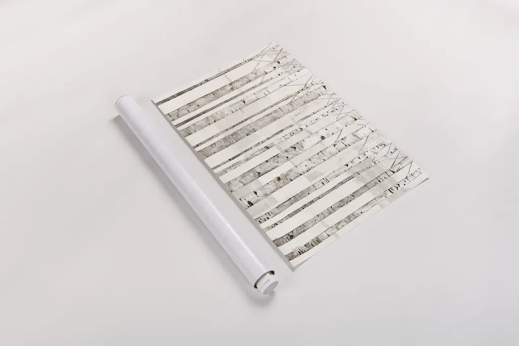 Birch Trees on White by Avery Tillmon. shown as a rolled paper print. Available as archival giclee rolled canvas, fine art paper, or poster print. SKU 13012i.