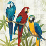 Birds of a Feather Square I by Avery Tillmon. SKU 49473a. Archival Giclee Fine art print for wall decor.