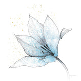 Blue Graphite Flower IX by Avery Tillmon. SKU 29758a. Archival Giclee Fine art print for wall decor.