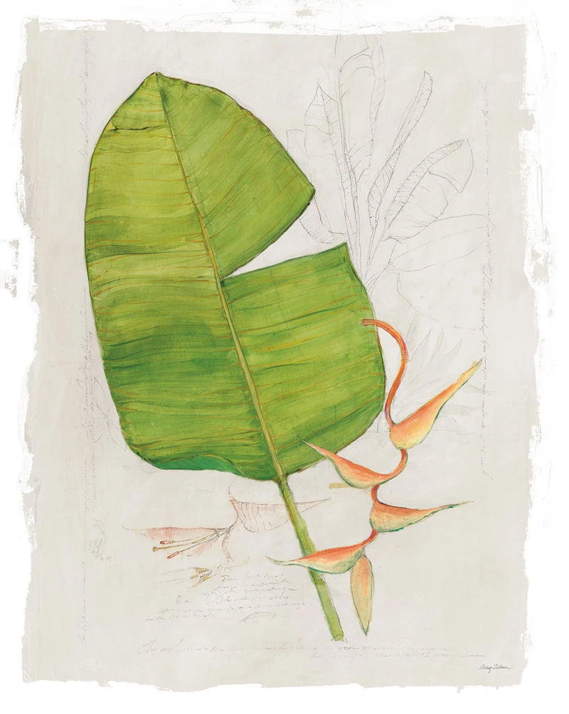 Botanical Journal I Light by Avery Tillmon