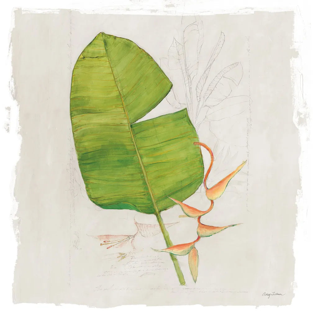 Botanical Journal I Light Sq by Avery Tillmon. SKU 56504a. Archival Giclee Fine art print for wall decor.