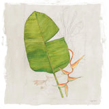 Botanical Journal I Light Sq by Avery Tillmon. SKU 56504a. Archival Giclee Fine art print for wall decor.