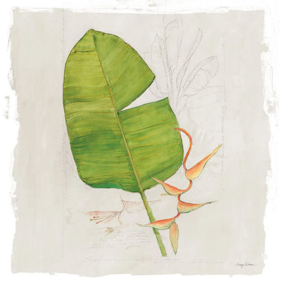 Botanical Journal I Light Sq by Avery Tillmon. SKU 56504a. Archival Giclee Fine art print for wall decor.