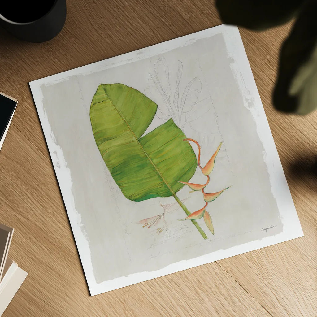 Botanical Journal I Light Sq by Avery Tillmon. Shown as a detailed flat fine art print, highlighting archival giclee quality. Available as an archival giclee rolled canvas, fine art paper, or poster print. SKU 56504a.