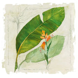 Botanical Study I Light by Avery Tillmon. SKU 47397a. Archival Giclee Fine art print for wall decor.