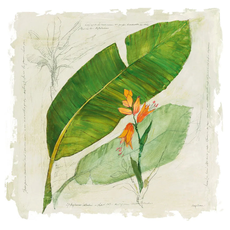 Botanical Study I Light by Avery Tillmon. SKU 47397a. Archival Giclee Fine art print for wall decor.