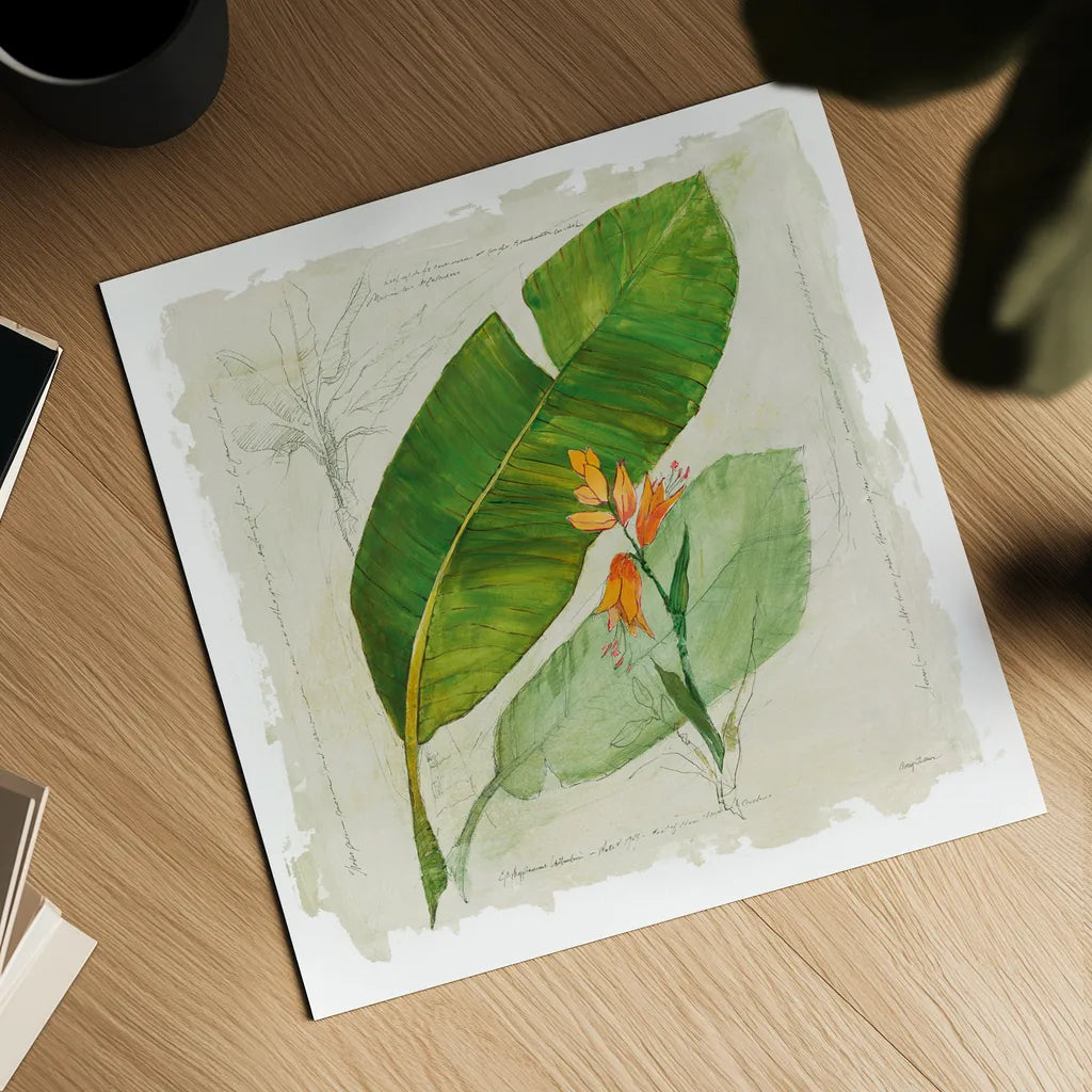 Botanical Study I Light by Avery Tillmon. Shown as a detailed flat fine art print, highlighting archival giclee quality. Available as an archival giclee rolled canvas, fine art paper, or poster print. SKU 47397a.