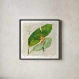 Botanical Study I Light by Avery Tillmon. Shown in a sleek black glass frame for a contemporary gallery look. Available as an archival giclee rolled canvas, fine art paper, or poster print. SKU 47397a.