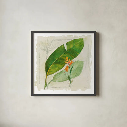 Botanical Study I Light by Avery Tillmon. Shown in a sleek black glass frame for a contemporary gallery look. Available as an archival giclee rolled canvas, fine art paper, or poster print. SKU 47397a.